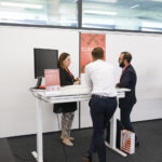 Comfone Connexion Wednesday Klee Zentrum and Blausee WEB-215